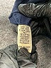 Wearables Solid Blue Active Pants Size L - photo 8