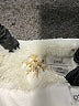 Peek... 100% Polyester Stars Ivory Snow Jacket Size 10 - photo 3