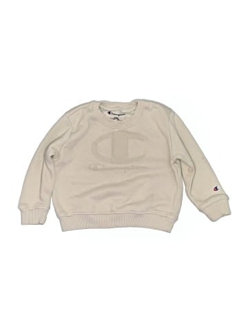Champion Sweatshirt (view 1)