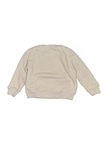 Champion Sweatshirt (view 2)