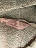 SJS Tan Pullover Hoodie Size 3X - photo 7