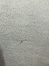Dotti Stripes Gray Casual Dress Size M - photo 9