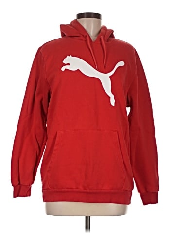 Puma Pullover Hoodie (view 1)
