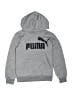 Puma Silver Sweatshirt Size M (kids) - photo 1