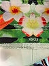 Nanette Lepore Graphic Ivory Leggings Size XS - photo 7
