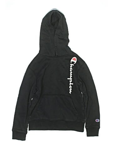 Champion Pullover Hoodie (view 1)