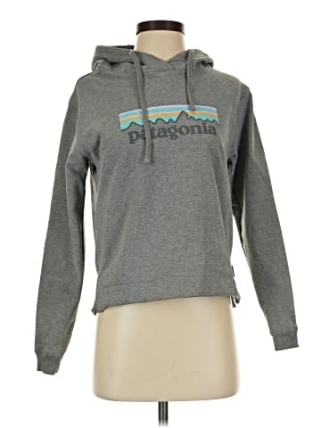 Patagonia Pullover Hoodie (view 1)