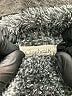 Cloudwalkers Gray Pullover Sweater Size S - photo 7