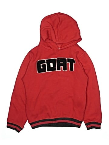Evolution in Design Pullover Hoodie (view 1)