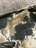 XCVI Tie-dye Tan Gray Long Sleeve Top Size M - photo 7