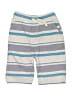 The Children's Place 100% Cotton Stripes Blue Shorts Size 12 - photo 1