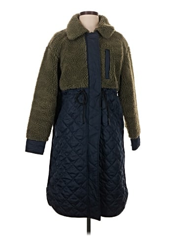 Everlane Coat (view 1)