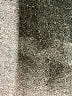 Zobha Gray Active Pants Size M - photo 5