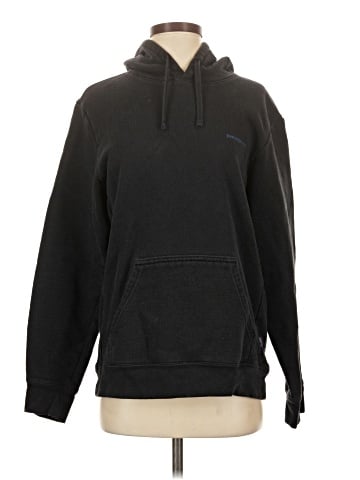 Patagonia Pullover Hoodie (view 1)