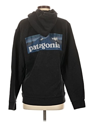 Patagonia Pullover Hoodie (view 2)