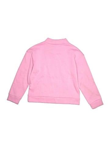 Champion Sweatshirt (view 2)