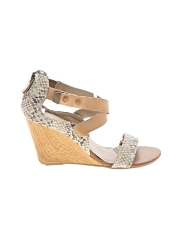 Reaction Wedges (view 1)