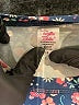 Ruffle Butts Blue Rash Guard Size 10 - photo 3