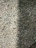 Kyodan Solid Gray Casual Pants Size M - photo 7
