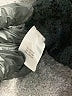 Lux Black Turtleneck Sweater Size M - photo 8