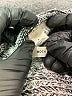 Moth Silver Pullover Sweater Size S - photo 7