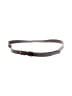 Lacoste Brown Belt Size M - photo 1
