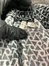Cato Print Black Shorts Size 18 - 20 - photo 4