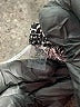NY Collection Gray 3/4 Sleeve Blouse Size 2X - photo 9
