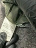 Bella Dahl Animal Print Gray Casual Pants Size XS - photo 8