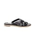 Cole Haan Black Sandals Size 8 1/2 - photo 1