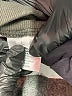 Level 99 Gray Cargo Pants Size L - photo 9