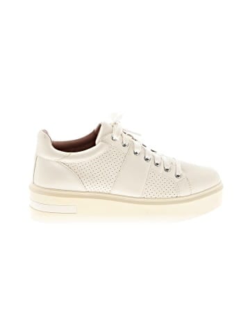 Linea Paolo Sneakers (view 1)