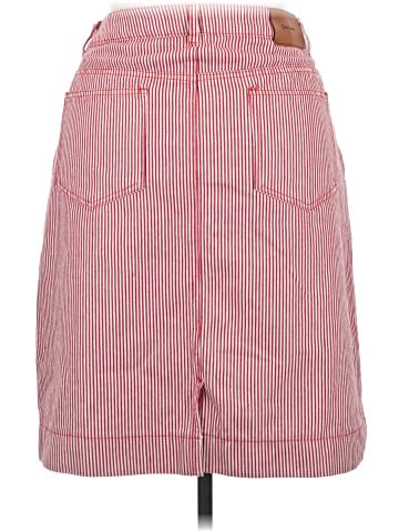 Cider Casual Skirt (view 2)