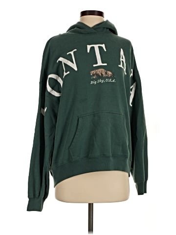 Hollister Sweatshirt (view 1)