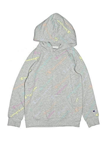 Champion Pullover Hoodie (view 1)