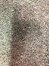 Alex Mill Brown Cargo Pants Size 24 - photo 5