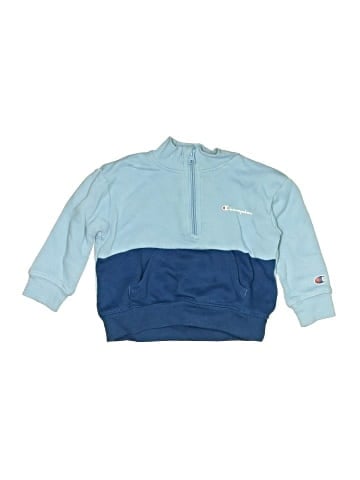 Champion Pullover Sweater (view 1)