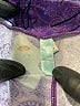 Lularoe Paisley Purple Leggings Size 2X (TC2) - photo 4