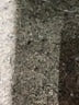 Shein Solid Ivory Khaki Shorts Size 2 - photo 4