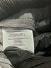 BCBGeneration 100% Cotton Gray Shorts Size 10 - photo 5