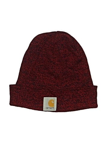 Carhartt Beanie (view 1)