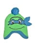 Nickelodeon Green Beanie Size 2T - photo 1