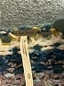 Free People Stripes Blue Pullover Sweater Size S - photo 7