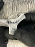 Splendid Solid Gray Casual Pants Size XS - photo 7