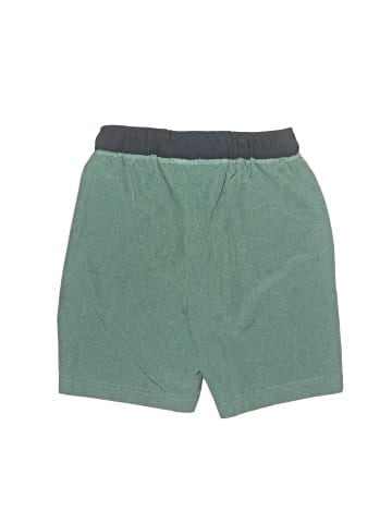 C&C California Athletic Shorts (view 2)