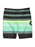 Hurley 100% Polyester Green Board Shorts Size 10 - 12 - photo 1