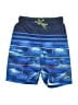 ZeroXposur 100% Polyester Blue Board Shorts Size 10 - 12 - photo 1
