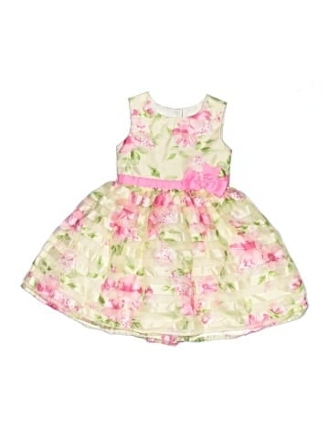 Jona Michelle Dress (view 1)
