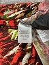 Jones Studio Brown Sleeveless Blouse Size 18 - photo 9