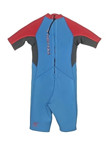 O'Neill Wetsuit (view 2)